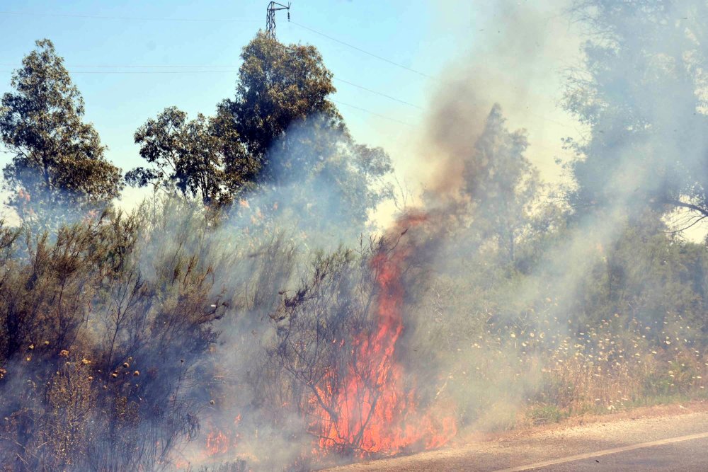 Selçuk'ta yeniden yangın çıktı, kısa sürede müdahale edildi