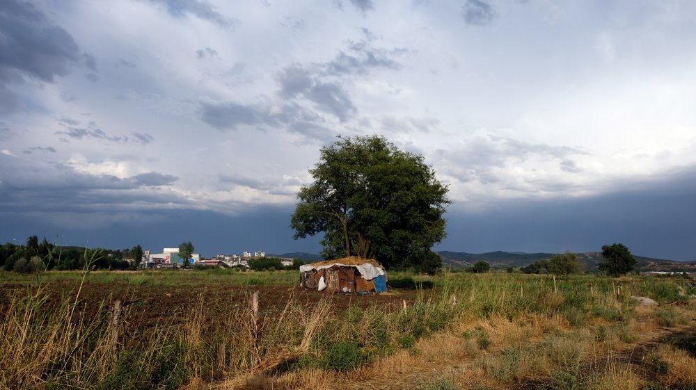 Sağanak ve dolu yağışı ekinlere zarar verdi