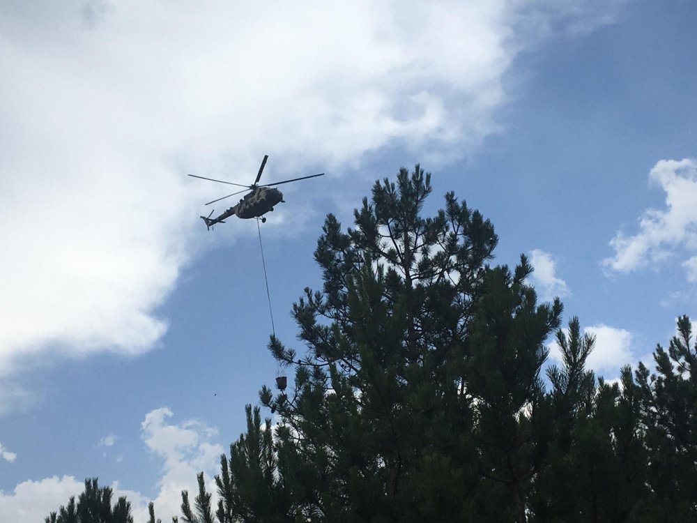 Vali Dallı, Kastamonu'da çıkan yangın bölgesinde inceleme yaptı