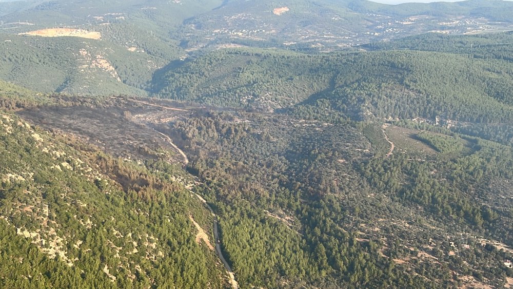 Bodrum'daki orman yangını kontrol altında!