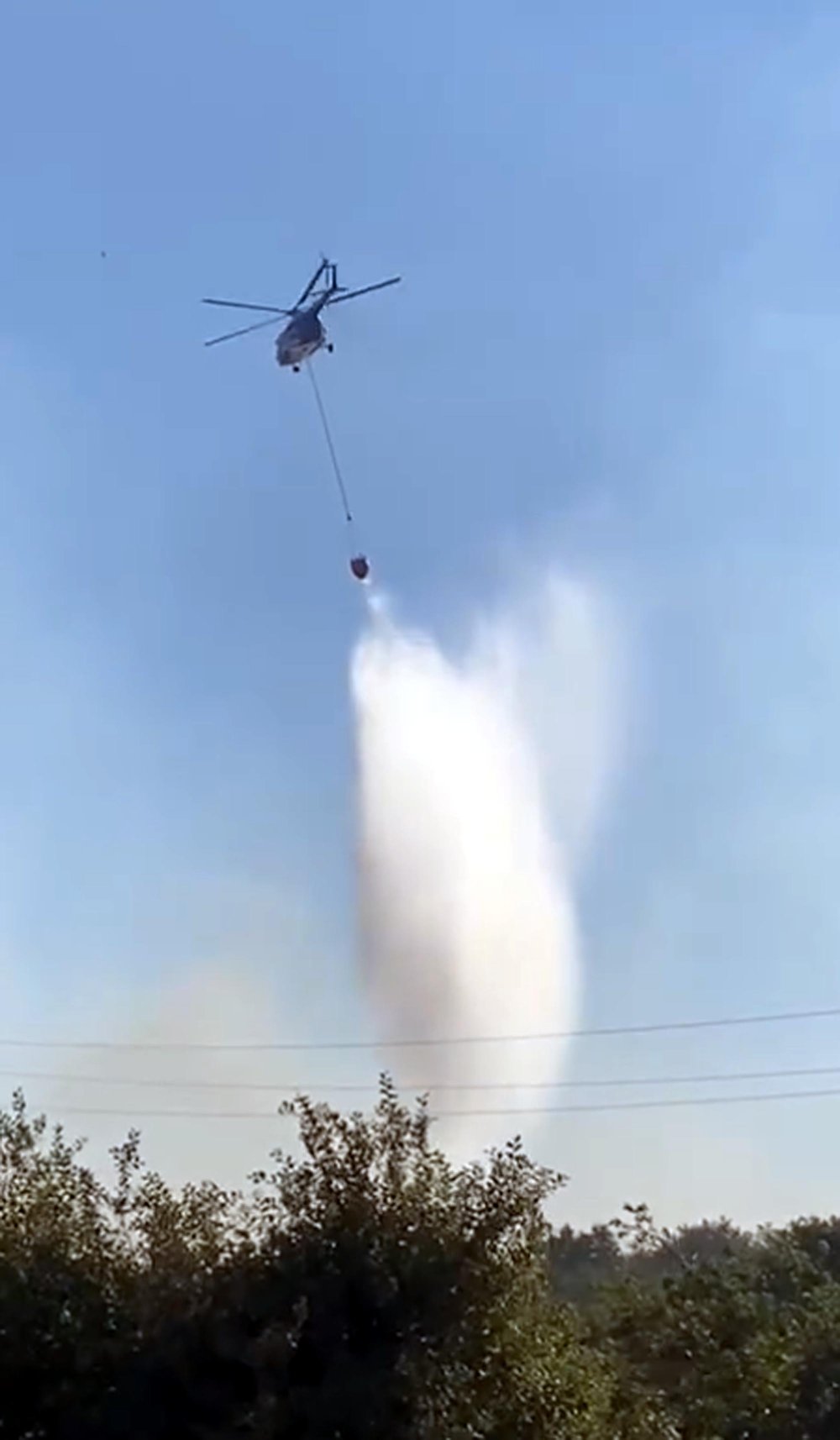 Edirne Uzunköprü'de orman yangını