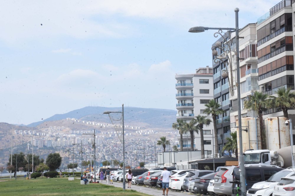 İzmir için felaket senaryosu! "Depremde deniz, kentin içine girecek"