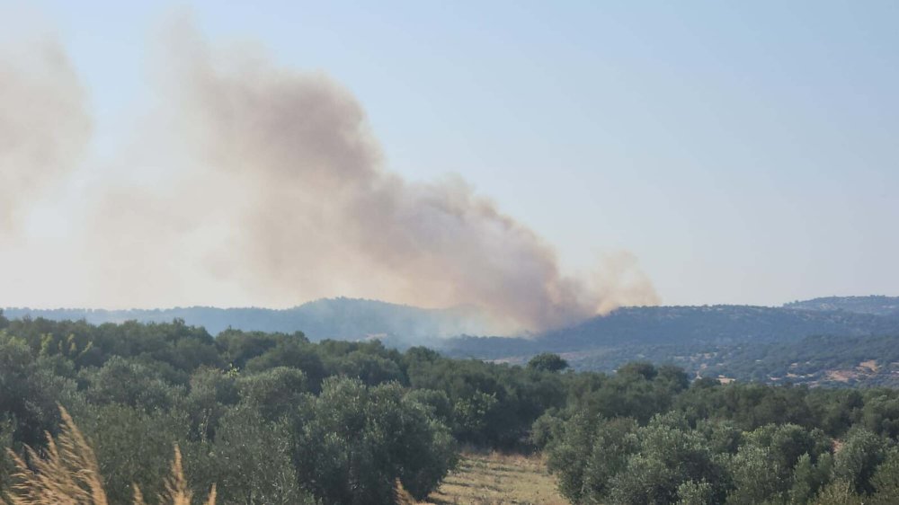 Çanakkale Ayvacık'taki yangında 14 saatin ardından kontrol altına alındı