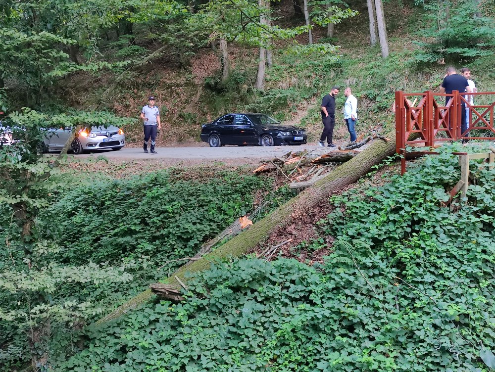 İstanbul-Sarıyer'de park halindeki 2 otomobilin üzerine ağaç devrildi