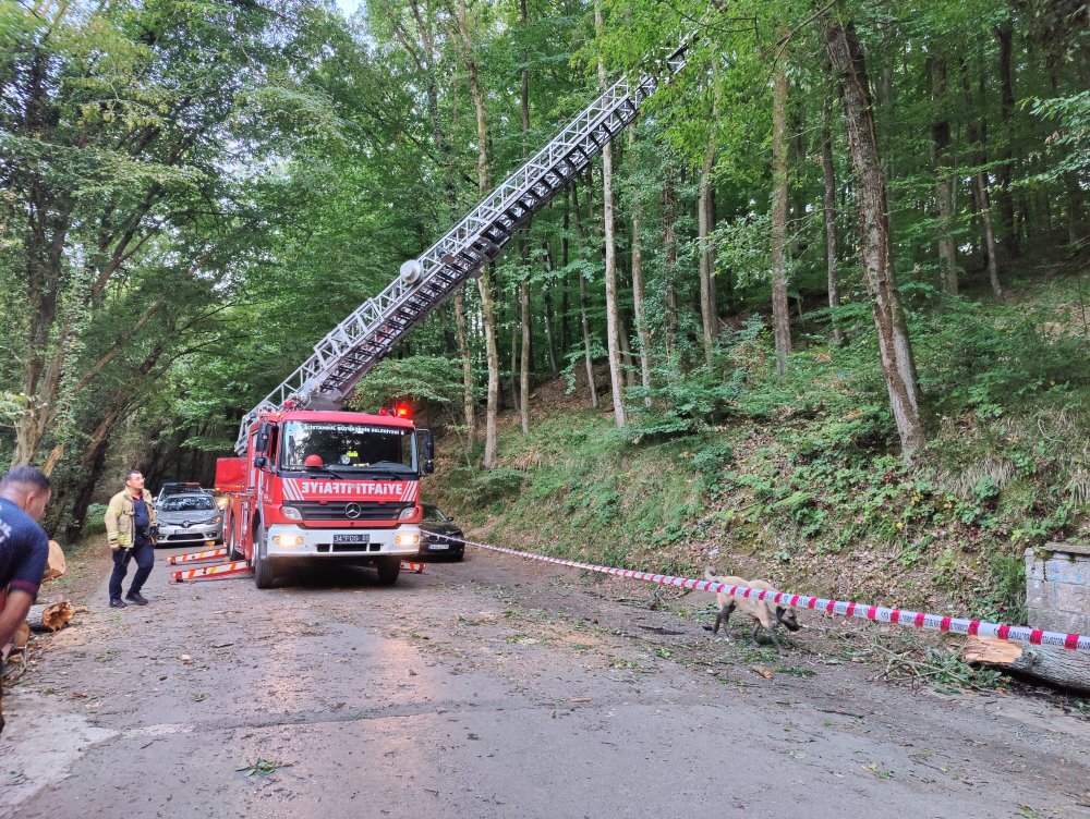 İstanbul-Sarıyer'de park halindeki 2 otomobilin üzerine ağaç devrildi