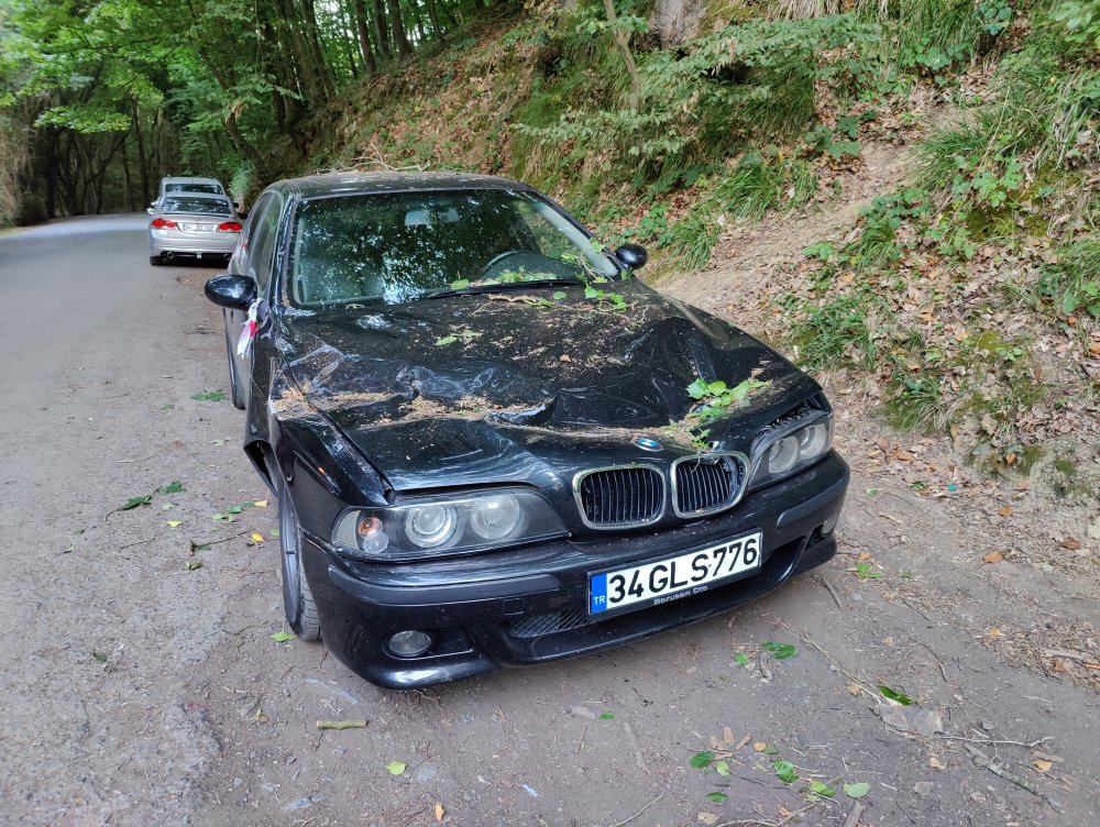 İstanbul-Sarıyer'de park halindeki 2 otomobilin üzerine ağaç devrildi