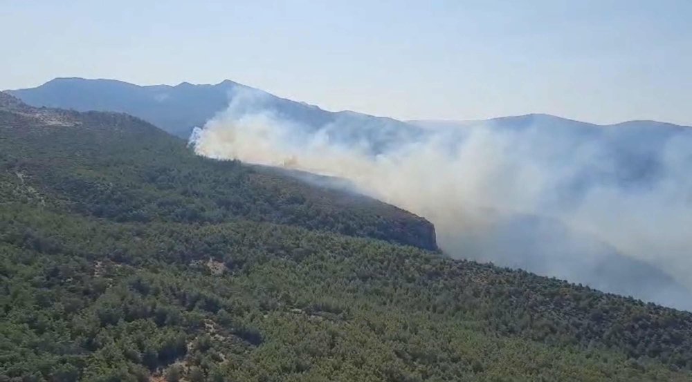 Muğla Milas'ta orman yangını!