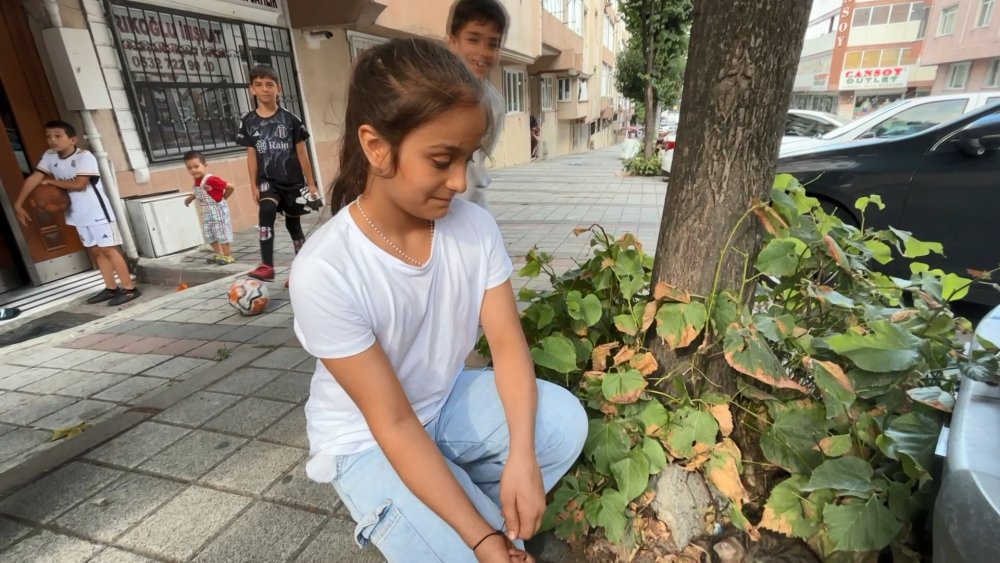 Sultangazi'de yolda gördüğü yavru kediyi balkona fırlattı