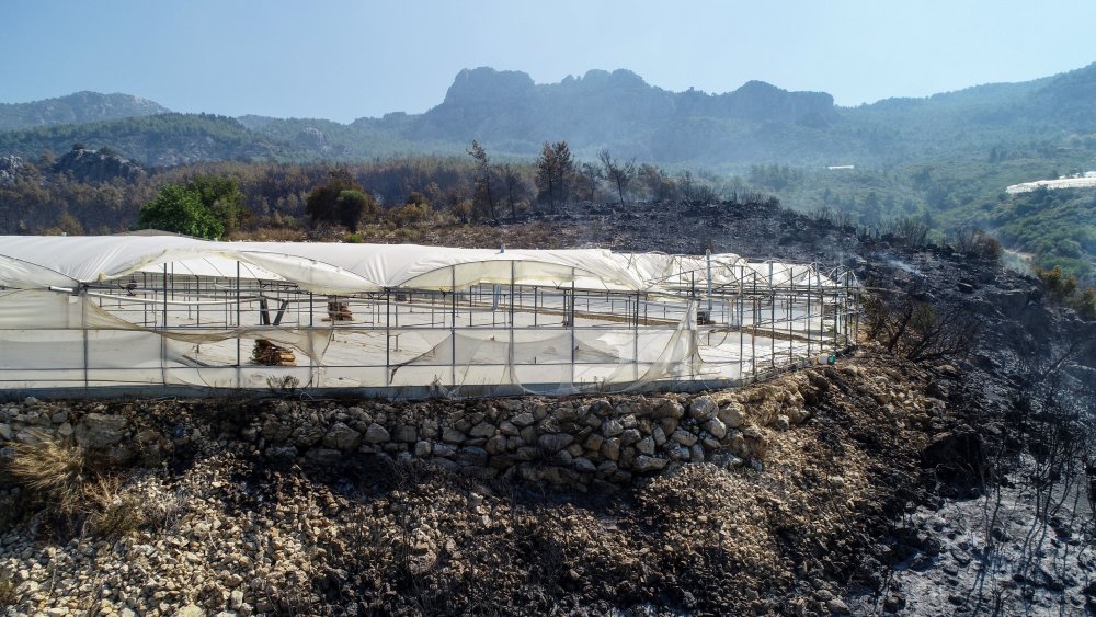 Antalya'daki orman yangını kontrol altına alındı