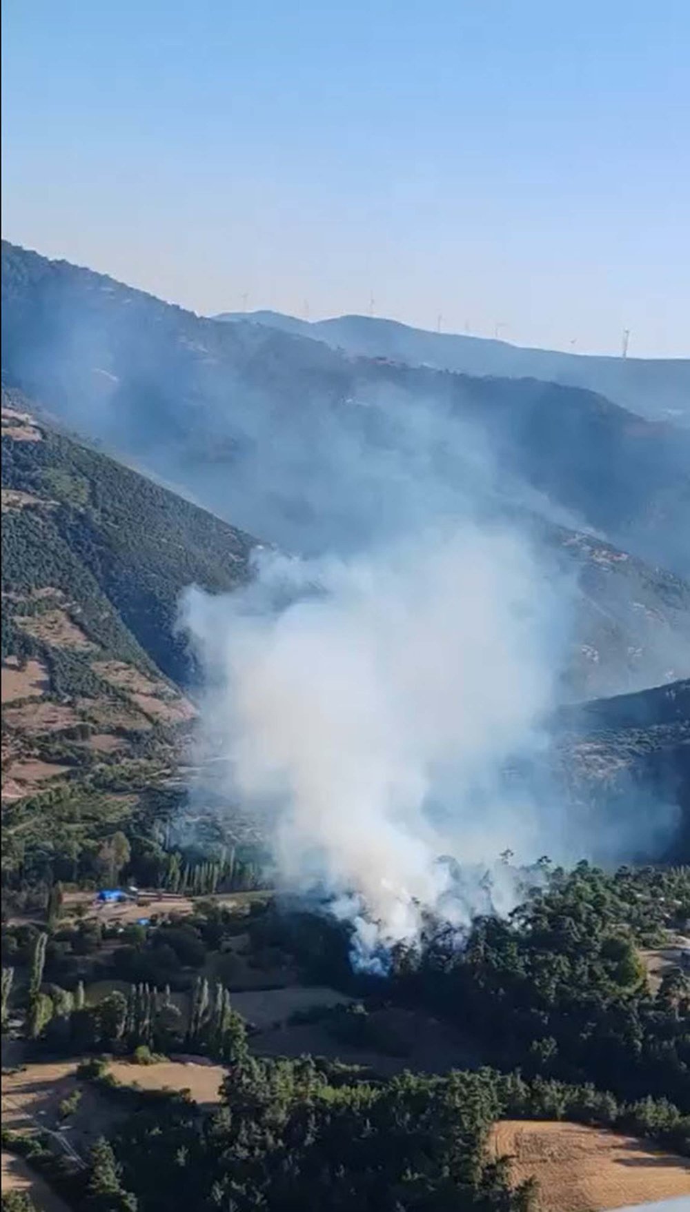 Balıkesir'de orman yangını