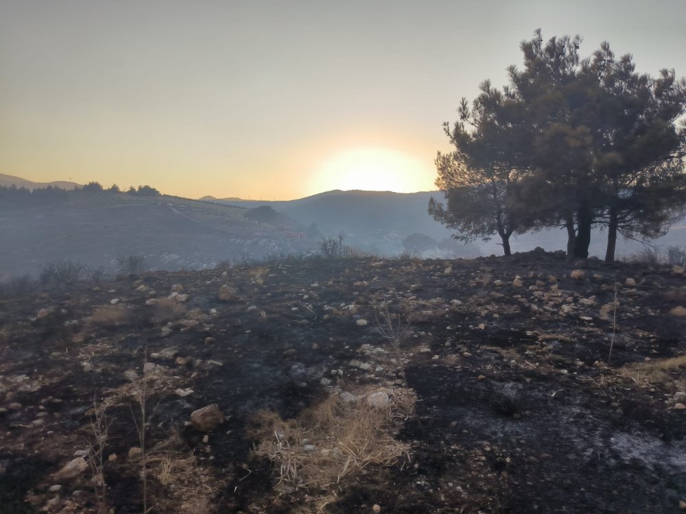 Antakya'daki orman yangını 15 saatin sonunda kontrol altına alındı