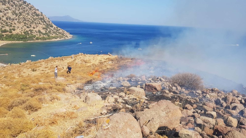 Bodrum'da otluk ve makilik yangını, ekipler söndürme çalışmalarına başladı