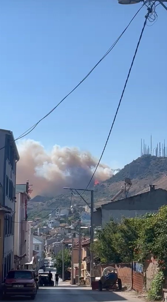 Bursa’da orman yangını!