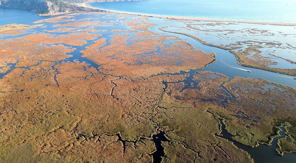 Dalyan Kanalı'nın labirent görünümlü sazlıkları