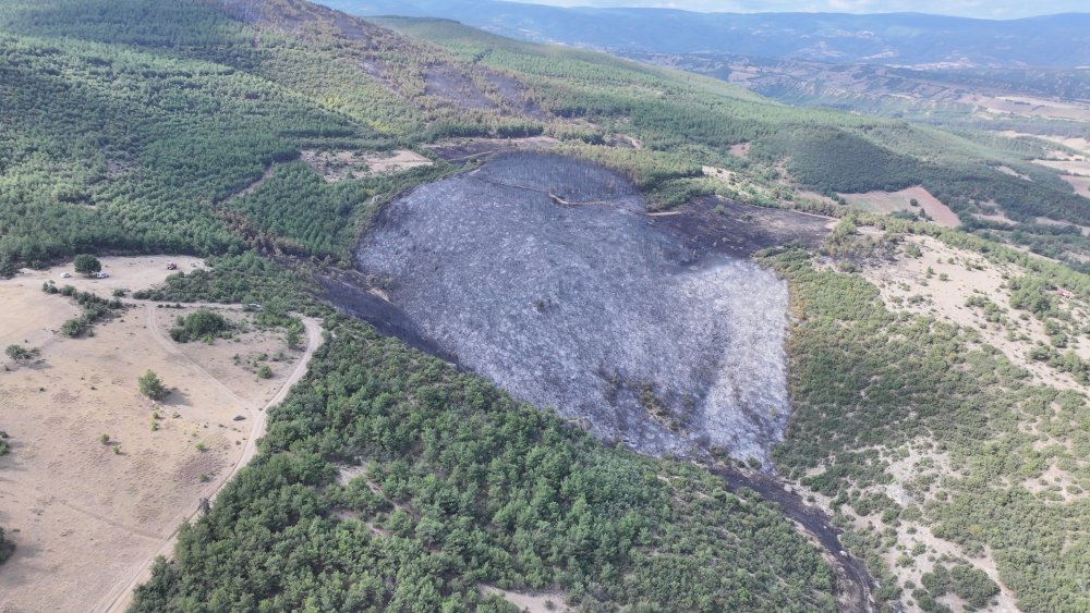 Tokat'taki orman yangınında 45 hektarlık alan küle döndü