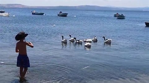 Kafesinin bahçesini çiftliğe çevirdi!