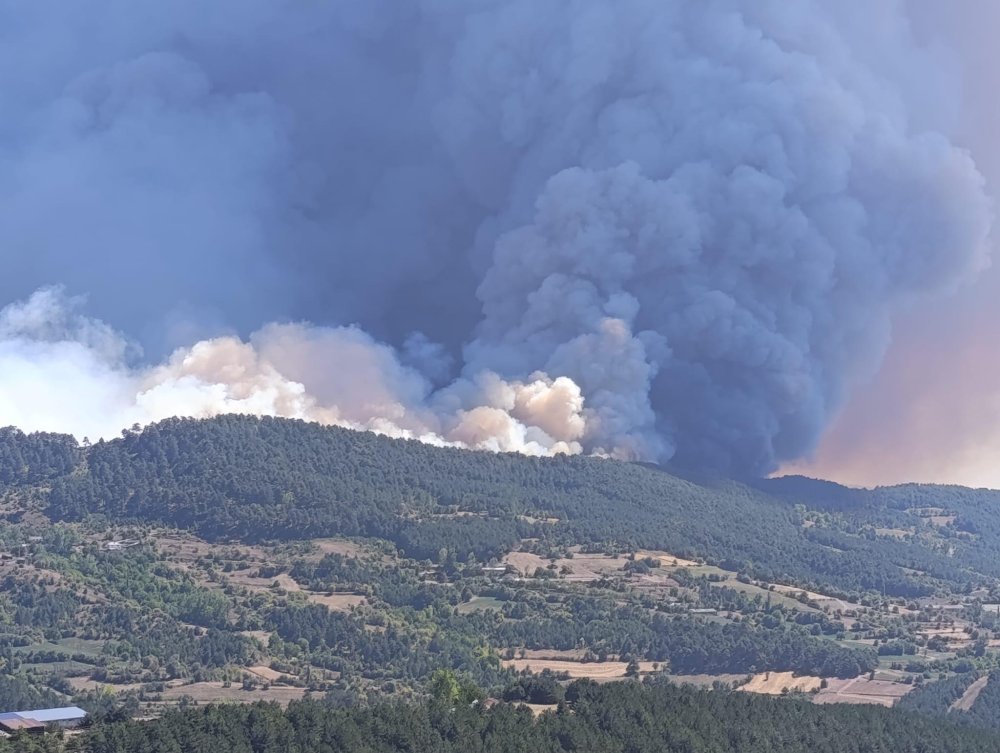 Bolu’da korkutan orman yangını