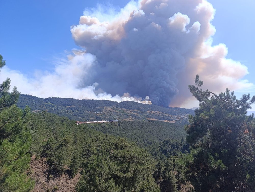 Bolu’da korkutan orman yangını