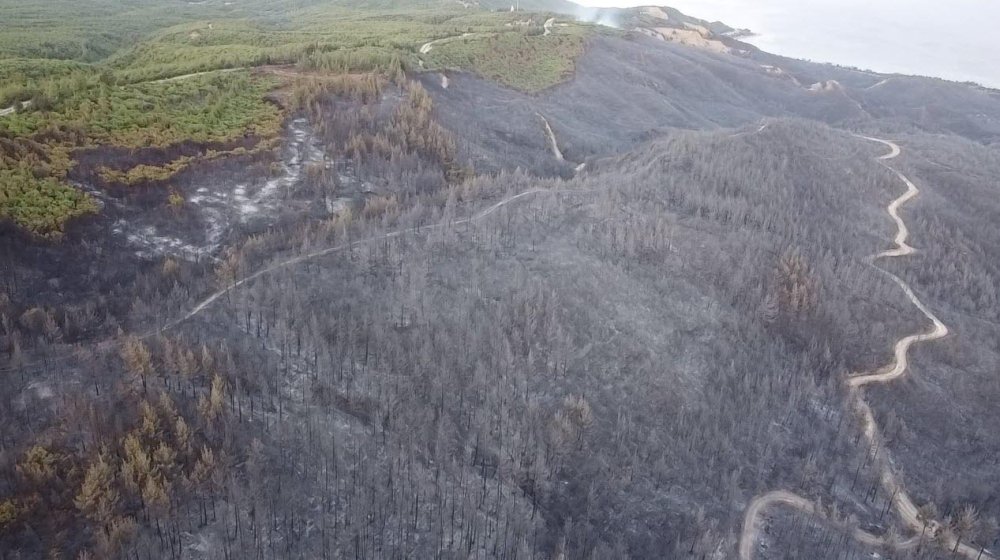 Çanakkale'deki yanan ormanlık alanlar dron ile görüntülendi