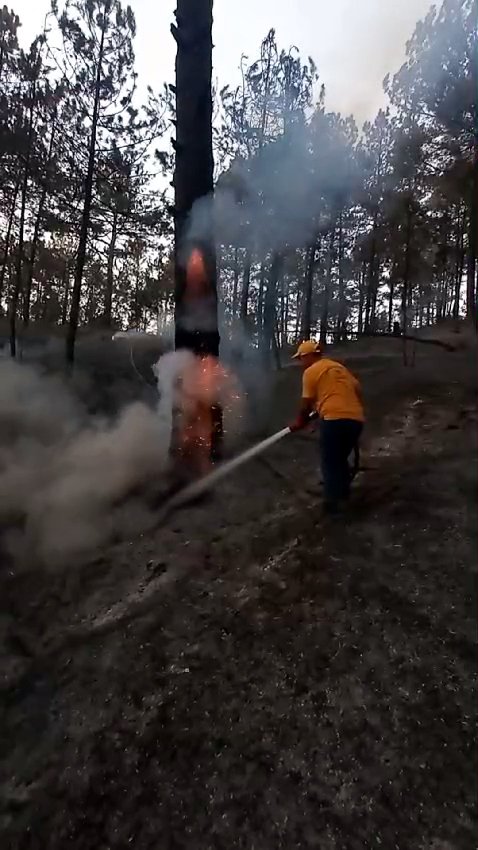 Bolu'da orman yangını 4'üncü gününde