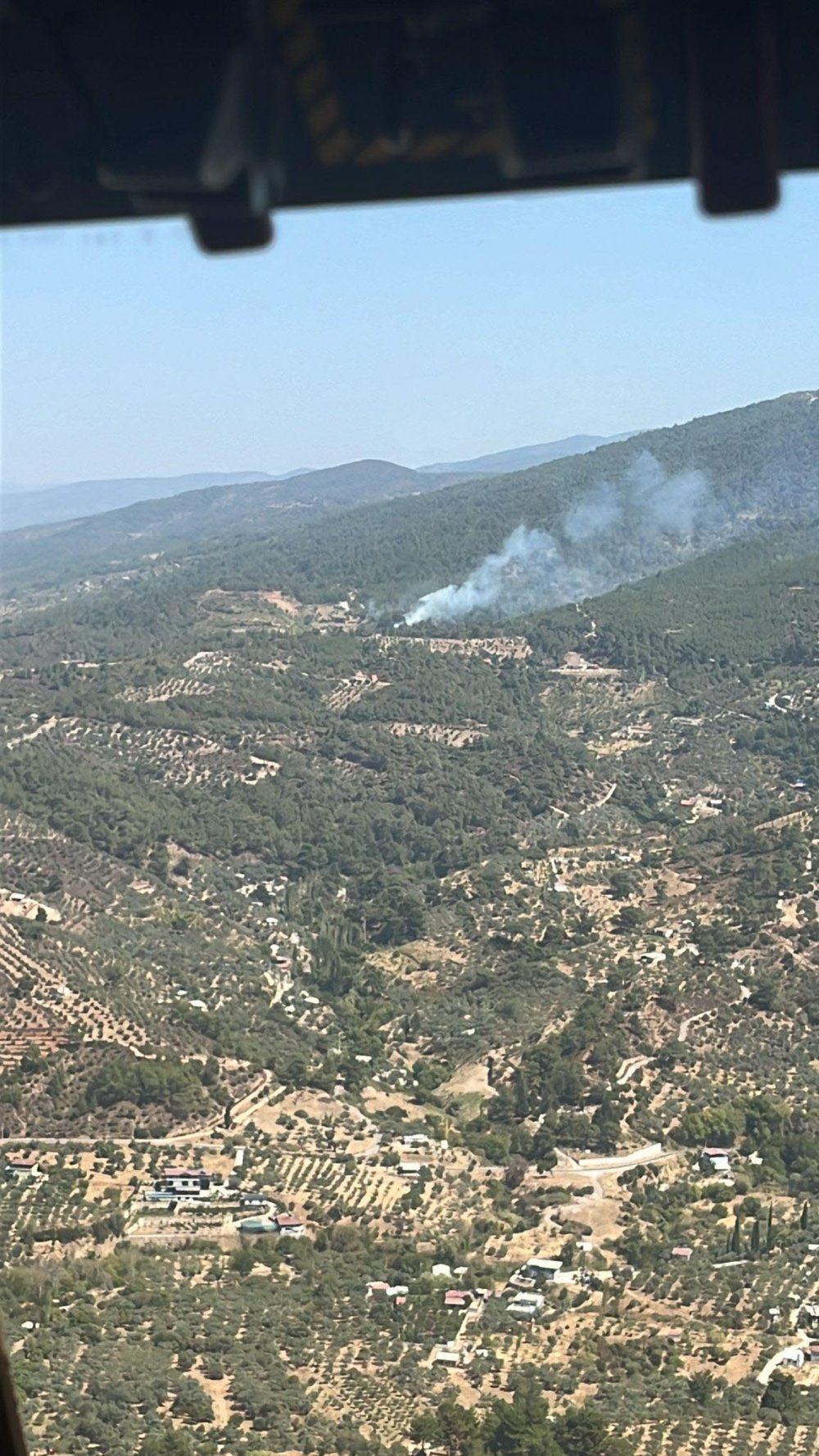 İzmir'de yeniden orman yangını çıktı