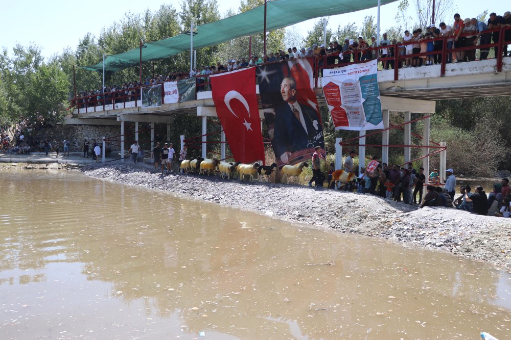 Denizli'de 8 asırlık gelenek: Taşıma suyla koyun taşıdılar!