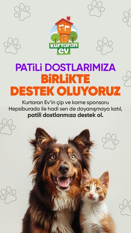 Hepsiburada, Dünya Köpek Günü’nde destek sayfası açtı