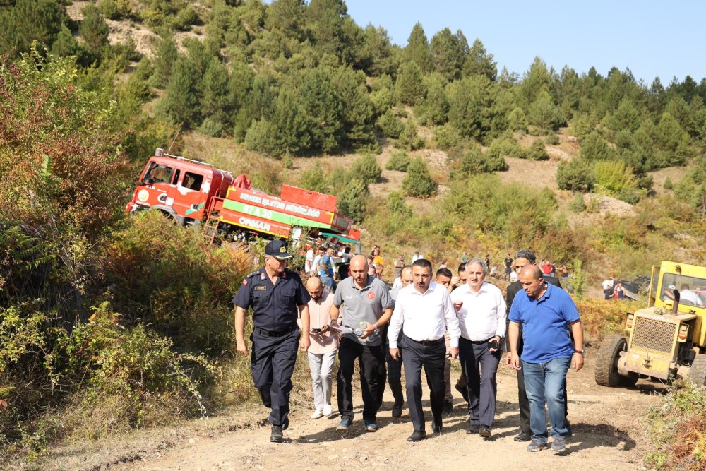 Zonguldak'taki orman yangını kontrol altına alındı