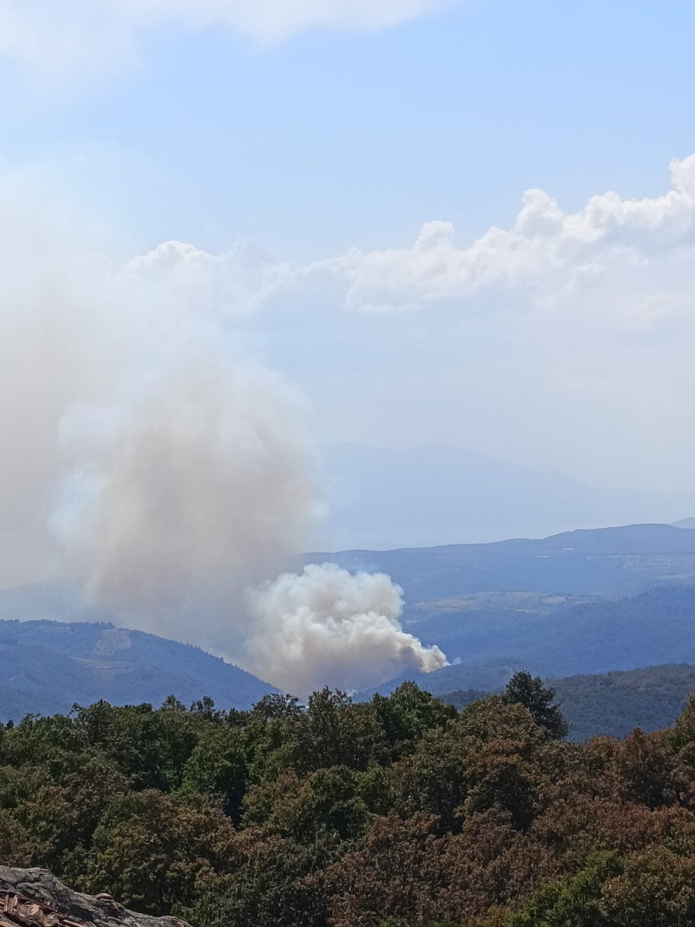 İznik'te orman yangını çıktı, havadan ve karadan çalışma başlatıldı