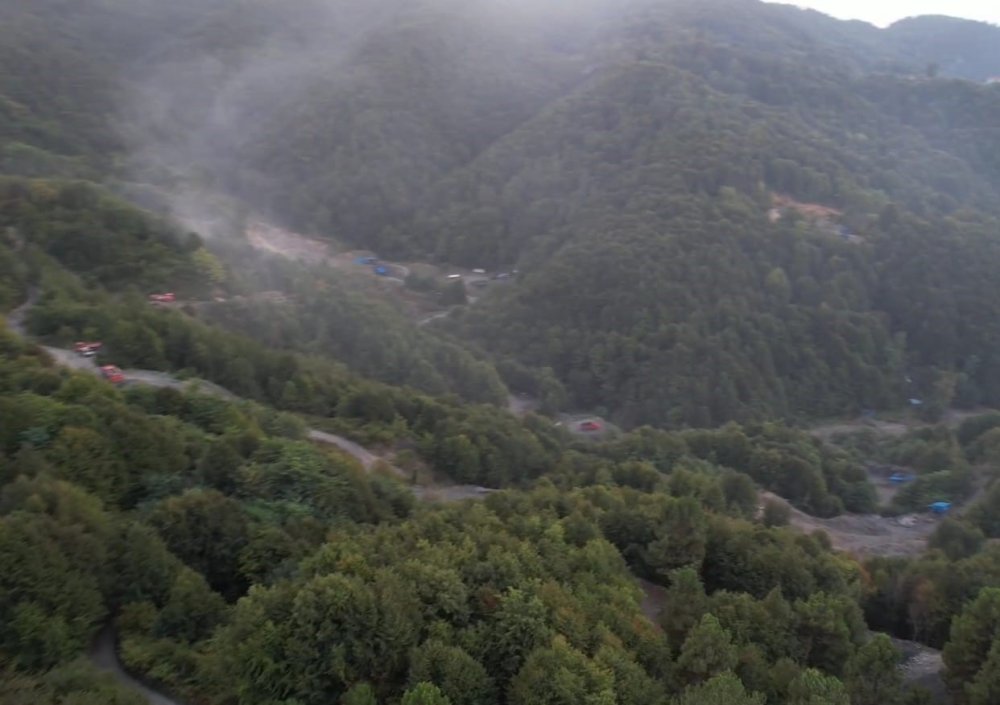 Zonguldak'ta orman yangını; 3 saatte kontrol altına alındı