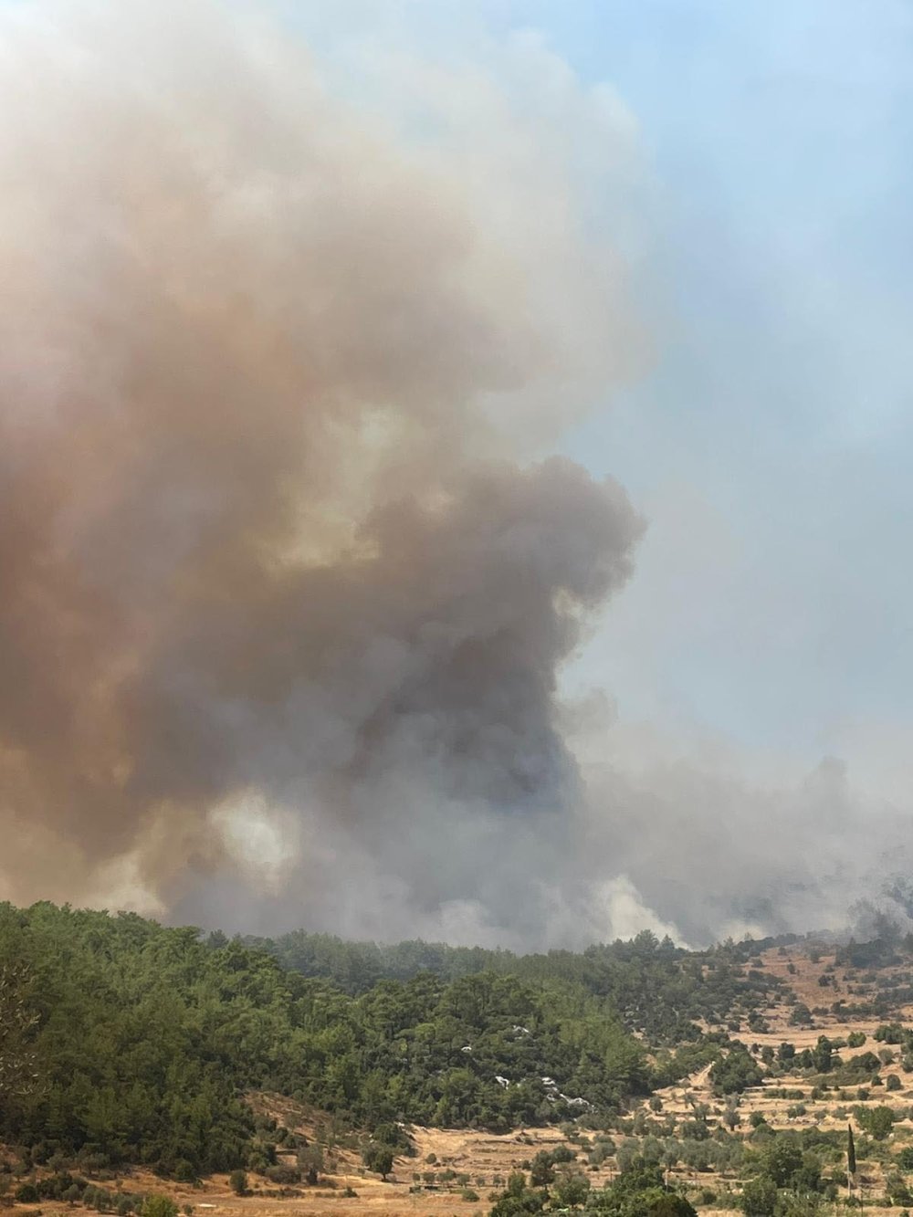 Muğla'da orman yangını, ekipler söndürme çalışmalarını başlattı