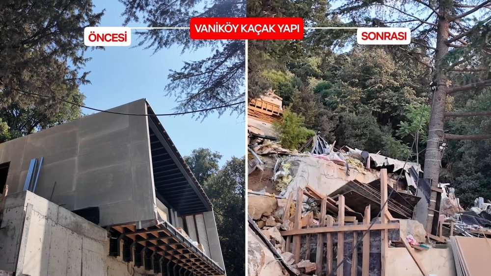 Vaniköy'deki kaçak yapıların yıkıldığı bölge ağaçlandırılacak