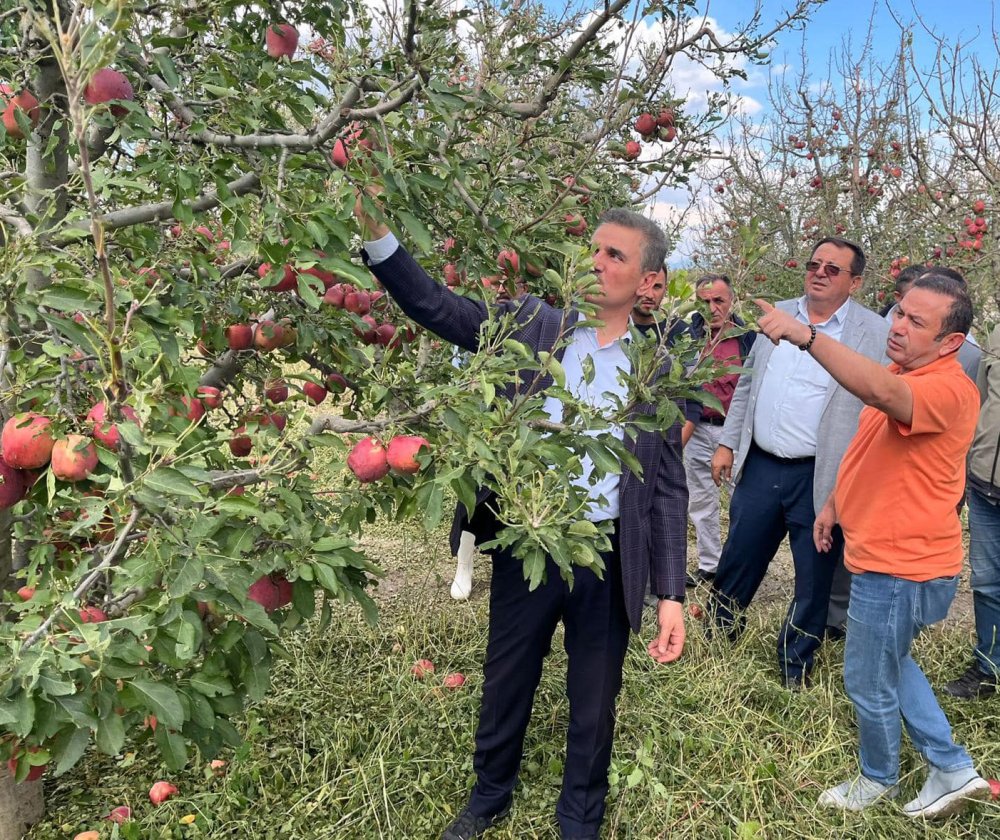 Isparta'da etkili olan dolu yağışı elma ağaçlarına zarar verdi