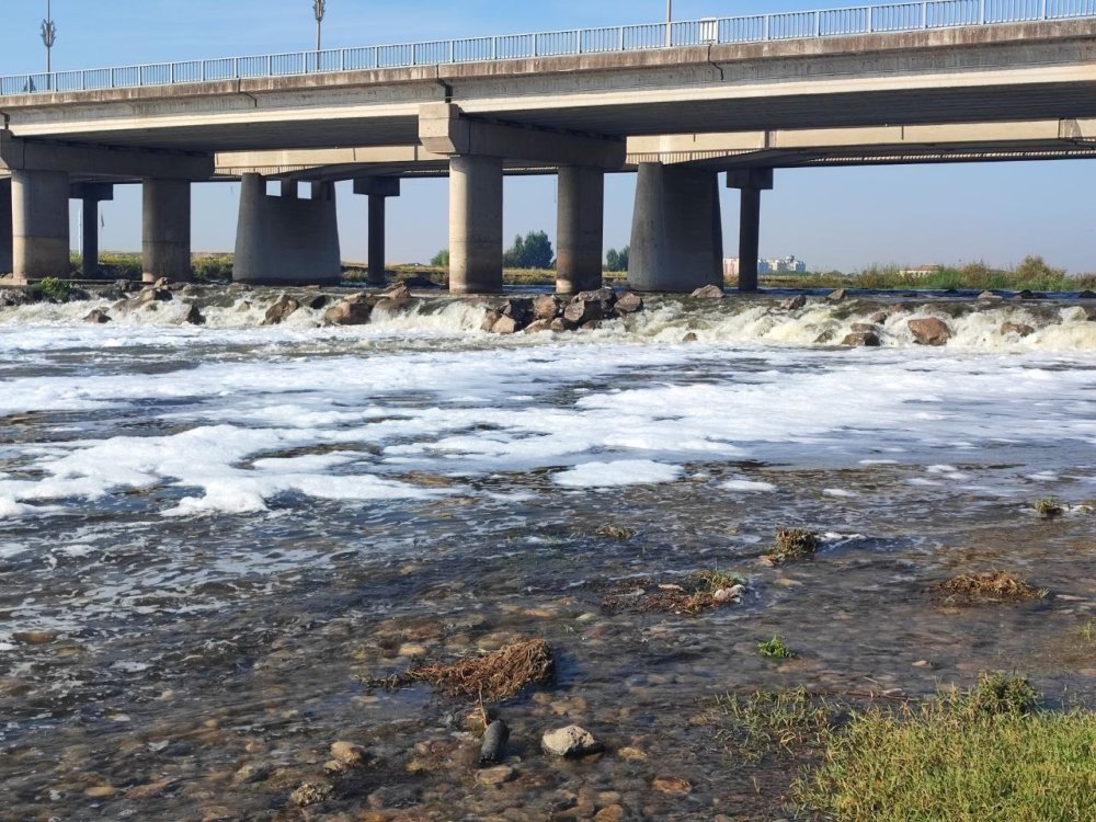 Beyaz köpük tehlikesi son olarak Dicle Nehri'nde görüldü