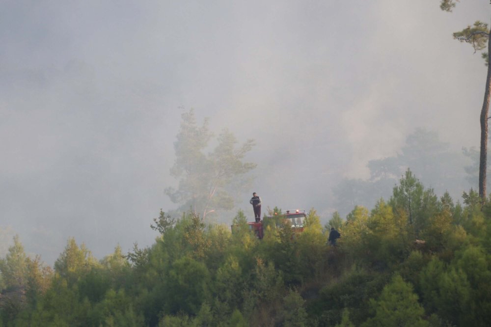 Muğla'nın 2 ilçesinde orman yangını!  Kontrol altına alındı