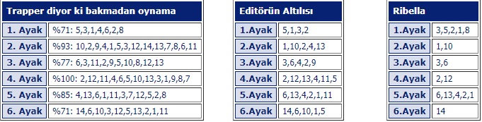 4 Eylül 2019 Diyarbakır at yarışı programı