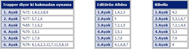 8 Ocak 20120 Çarşamba İstanbul ve Bursa At Yarışı Tahminleri, Programı ve Sonuçları 