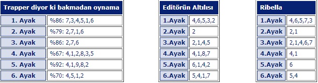 8 Temmuz 2019 Pazartesi Bursa at yarışı tahminleri