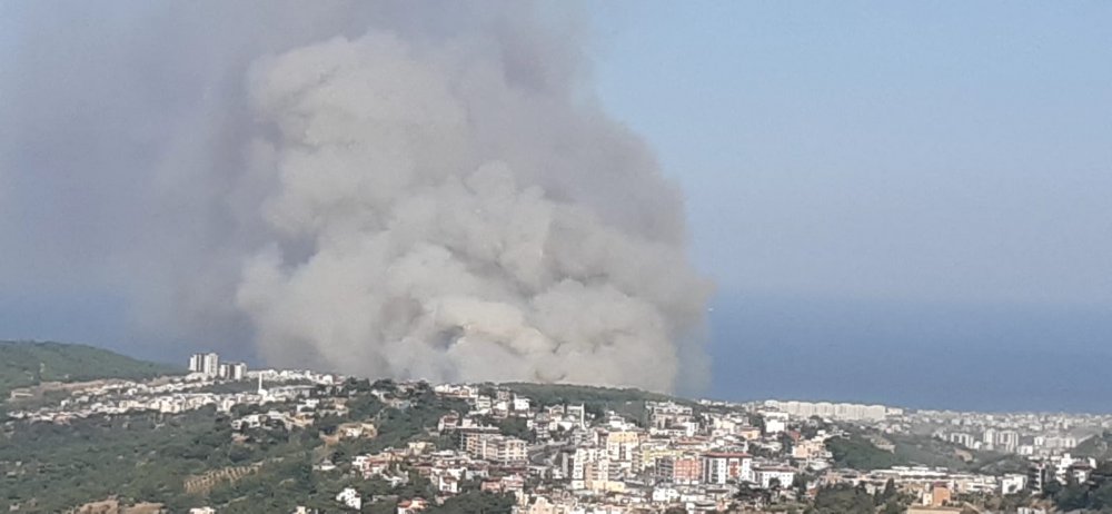 hatay yangın