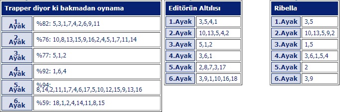 13 Temmuz 2018 Cuma Bursa At Yarışı Tahminleri 