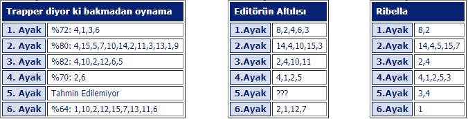 13 Temmuz 2019 Cumartesi İstanbul at yarışı tahminleri