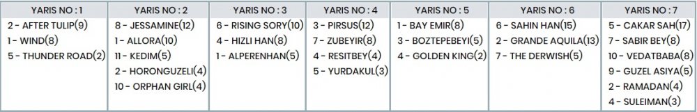 11 Şubat 2020 Salı Adana ve Kocaeli At Yarışı Tahminleri, Programı ve Sonuçları