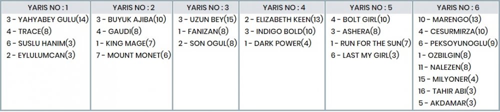 11 Şubat 2020 Salı Adana ve Kocaeli At Yarışı Tahminleri, Programı ve Sonuçları