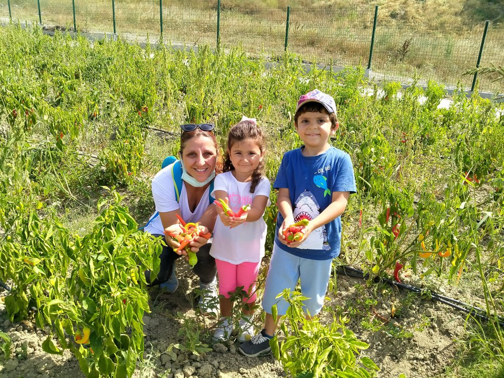 Bizimkent Eğitim Kültür ve Çevre Derneği