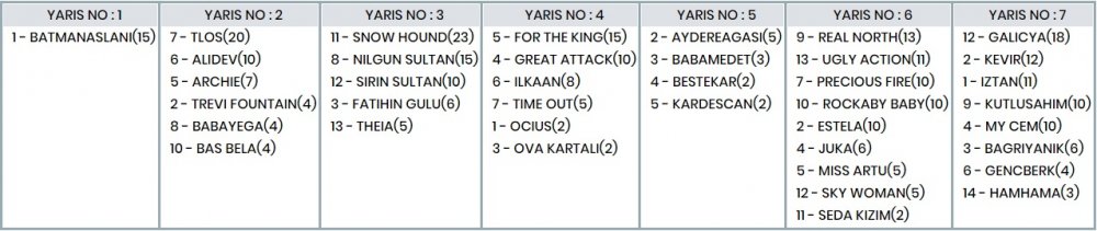 5 Şubat 20120 Çarşamba İstanbul ve Bursa At Yarışı Tahminleri, Programı ve Sonuçları 