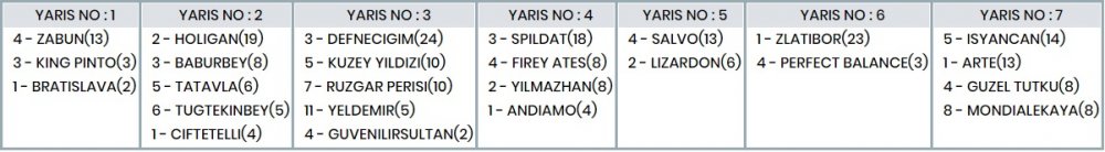 5 Şubat 20120 Çarşamba İstanbul ve Bursa At Yarışı Tahminleri, Programı ve Sonuçları 