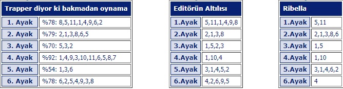 15 Temmuz 2019 Pazartesi Bursa at yarışı tahminleri