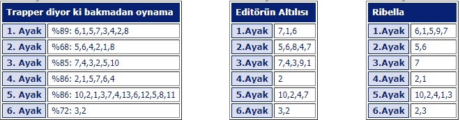 17 şubat 2018 Bursa at yarışları