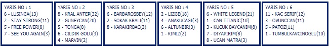 23 Aralık 2019 Pazartesi Şanlıurfa At Yarışı Tahminleri