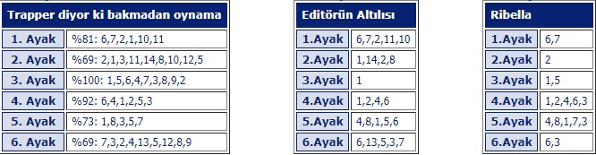 28 Ekim 2019 Pazartesi Bursa at yarışı tahminleri